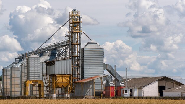 Zilveren silo's op agrarische productie-installatie voor de verwerking, het drogen, het reinigen en de opslag van landbouwproducten meel, granen en graan Grote ijzeren vaten met graan