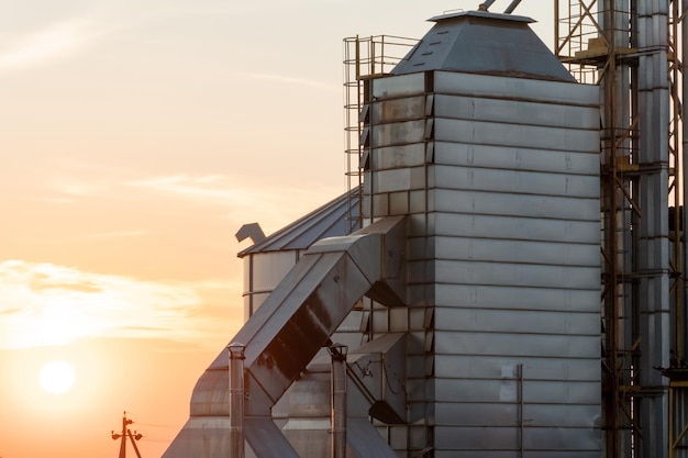 Zilveren silo's op agro-fabriek voor verwerking drogen reiniging en opslag van landbouwproducten meel granen en graan Grote ijzeren vaten graan Graanschuurlift