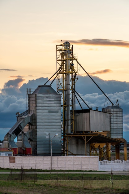 Zilveren silo's op agro-fabriek voor verwerking drogen reiniging en opslag van landbouwproducten meel granen en graan Grote ijzeren vaten graan Graanschuurlift