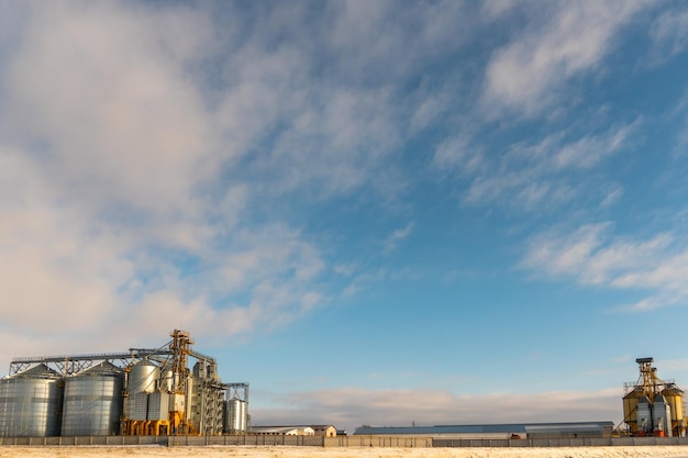 Zilveren silo's op agro-fabriek voor verwerking drogen reiniging en opslag van landbouwproducten meel granen en graan Grote ijzeren vaten graan Graanschuurlift