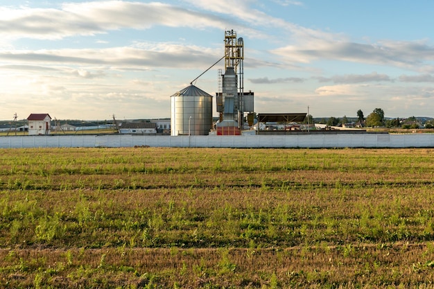 Zilveren silo's op agro-fabriek voor verwerking drogen reiniging en opslag van landbouwproducten meel granen en graan Grote ijzeren vaten graan Graanschuurlift