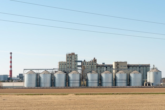 Zilveren silo's op agro-fabriek voor verwerking drogen reiniging en opslag van landbouwproducten meel granen en graan Grote ijzeren vaten graan Graanschuurlift