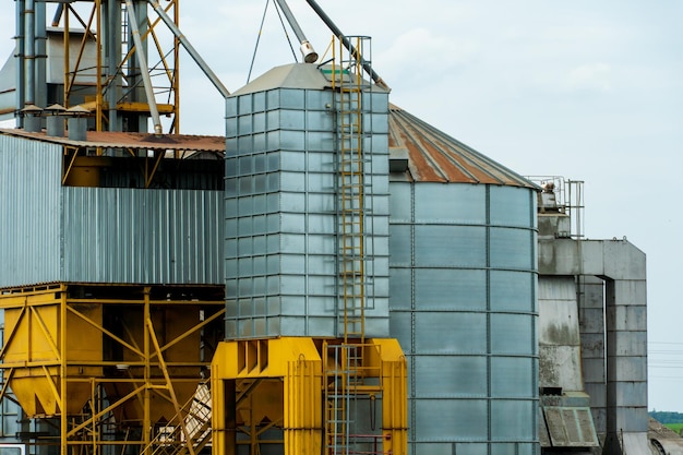 Zilveren silo's op agro-fabriek voor verwerking drogen reiniging en opslag van landbouwproducten meel granen en graan grote ijzeren vaten graan graanschuurlift