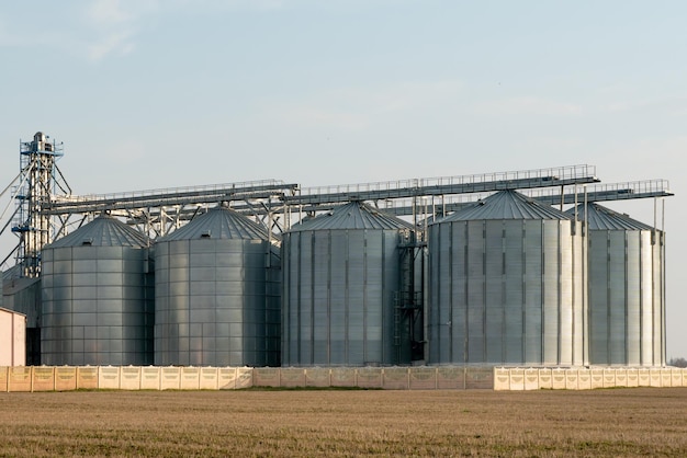 Zilveren silo's op agro-fabriek voor verwerking drogen reiniging en opslag van landbouwproducten meel granen en graan Grote ijzeren vaten graan Graanschuurlift