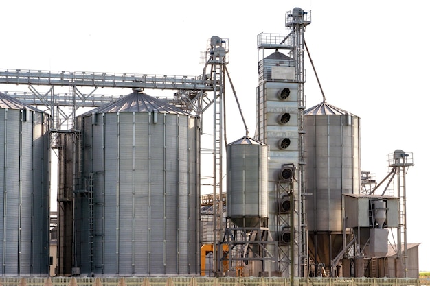 Zilveren silo's op agro-fabriek voor verwerking drogen reiniging en opslag van landbouwproducten meel granen en graan Grote ijzeren vaten graan Graanschuurlift