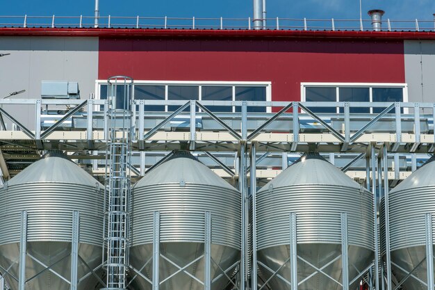 Zilveren silo's op agro-fabriek voor verwerking drogen reiniging en opslag van landbouwproducten meel granen en graan Grote ijzeren vaten graan Graanschuurlift