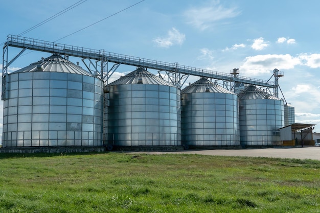 Zilveren silo's op agro-fabriek voor verwerking drogen reiniging en opslag van landbouwproducten meel granen en graan Grote ijzeren vaten graan Graanschuurlift