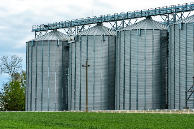 Zilveren silo's op agro-fabriek voor verwerking drogen reiniging en opslag van landbouwproducten meel granen en graan Grote ijzeren vaten graan Graanschuurlift