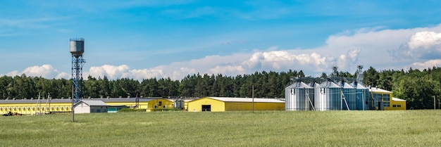 Zilversilo's op agroverwerkings- en productiefabriek voor verwerking drogen reiniging en opslag van landbouwproducten meel granen en graan Graanschuurlift