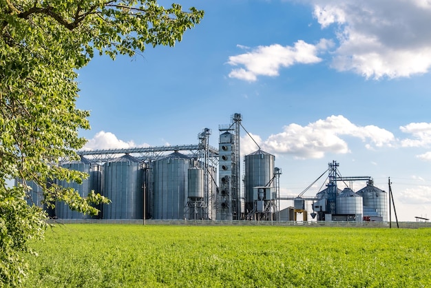 Zilversilo's op agroverwerkings- en productiefabriek voor verwerking drogen reiniging en opslag van landbouwproducten meel granen en graan Graanschuurlift