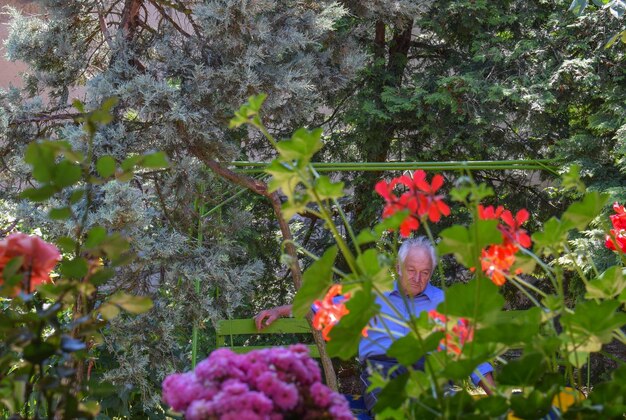 Foto zinnige oudere man die op een bankje zit te midden van planten en bomen in het park