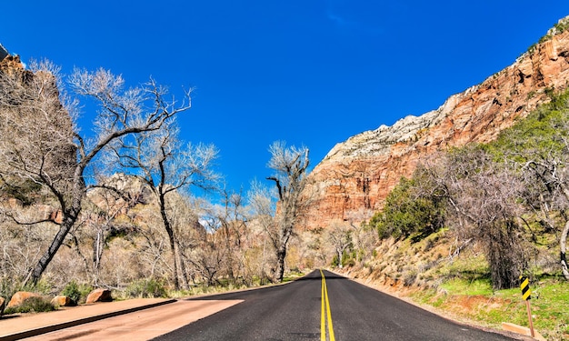 Zion canyon scenic drive in zion national park utah united states