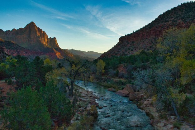 Foto zion national park in utah united states at watchman viewpoint reizen en toerisme