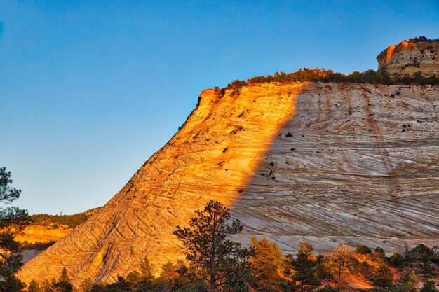 Zion National Park Scenic Landscapes USA Arizona