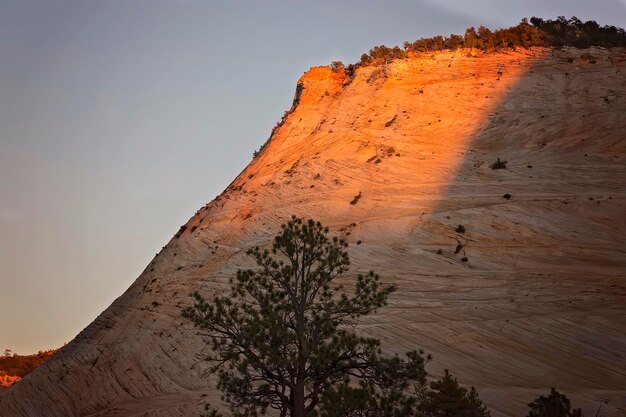 Zion National Park Scenic Landscapes USA Arizona