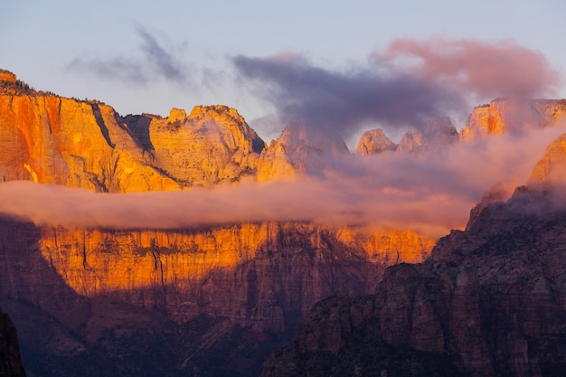 Zion national park