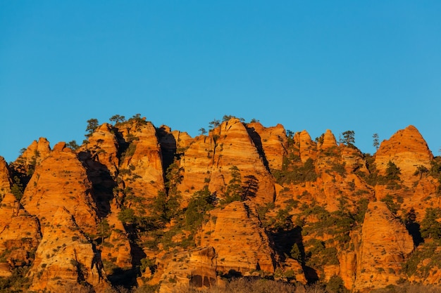 Foto parco nazionale di zion