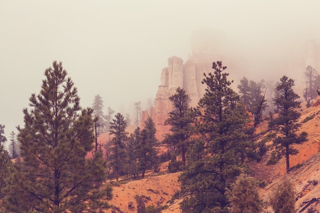 Photo zion national park