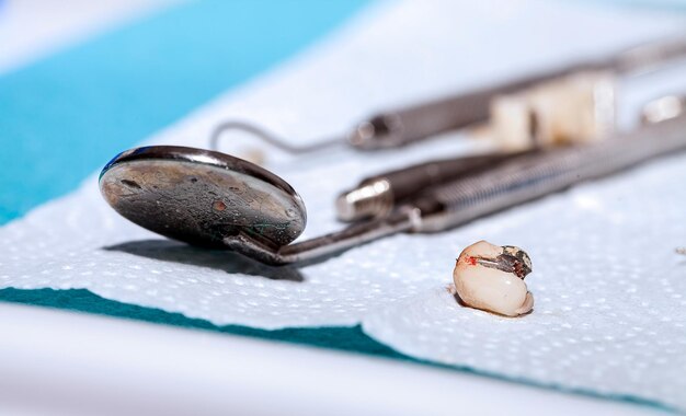 Photo zirconium porcelain tooth plate in dentist store macro detailed photo