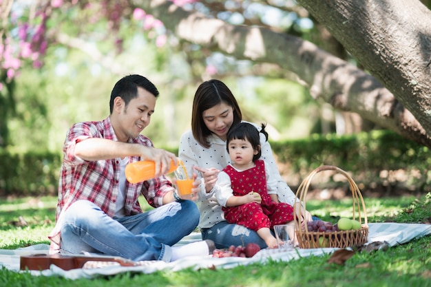 Zittend op het gras tijdens een picknick in een park en gelukkige familie