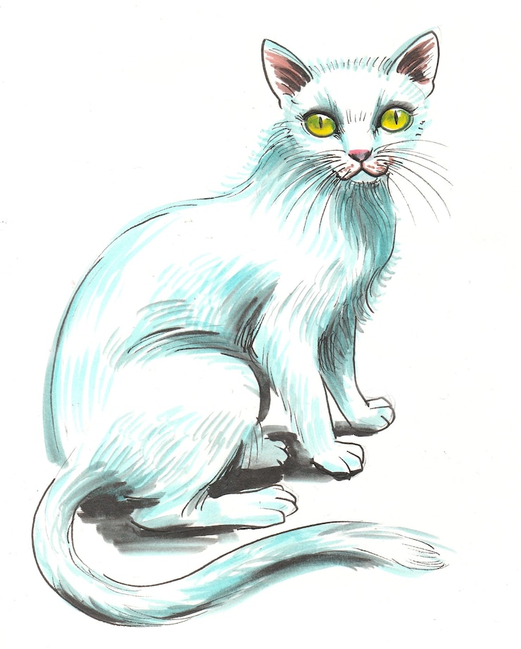 Foto zittende witte kat. inkt en aquarel tekenen