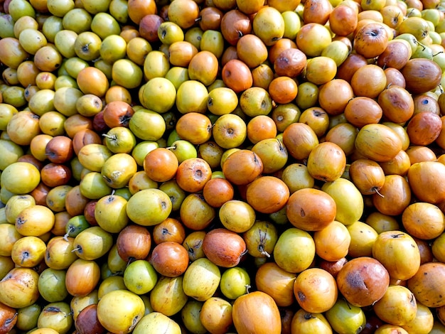 Photo ziziphus mauritiana also known as ber chinee apple jujube indian plum and masau is a tropical fruit tree species belonging to the family rhamnaceae