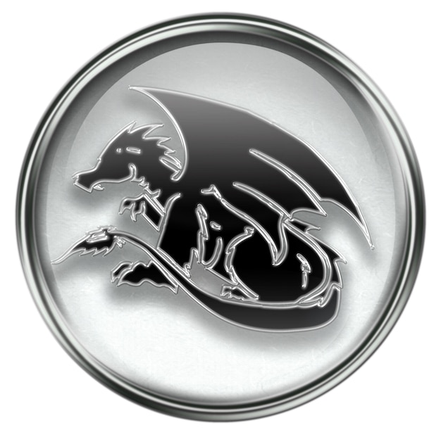 Photo zodiac icon grey