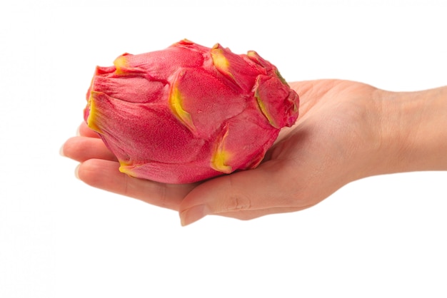 Zoet smakelijk draakfruit of pitaya in vrouwenhand die op wit wordt geïsoleerd.