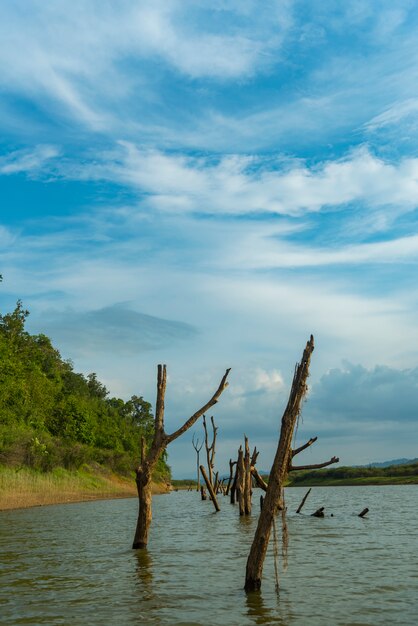 Zoet watermeer met blauwe hemel