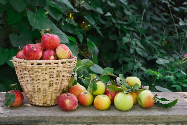 Zoete verse rijpe groene en gele appels