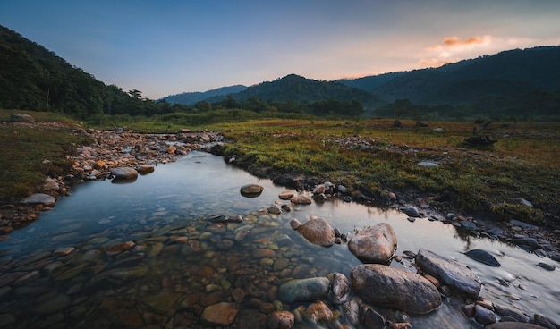 Zoetwaterstroom die over berg- en bosvallei stroomt in het natuurlandschap met rotsen en kiezelstenen bij zonsopgang