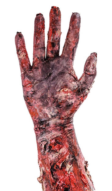 Photo zombie hand with five fingers, open hand, isolated white surface, halloween hand.