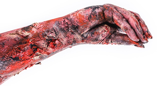 Zombie or living dead realistic hand, day of the dead or halloween theme, isolated white surface.