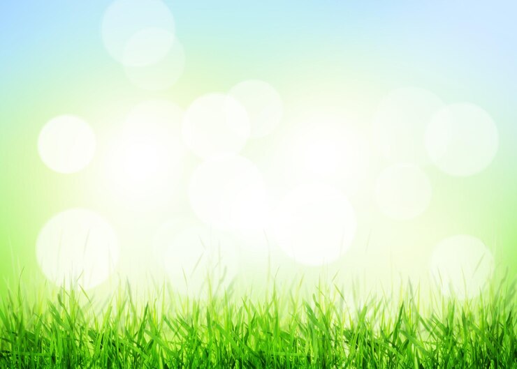 Foto zomer achtergrond met gras en zonnige bokeh