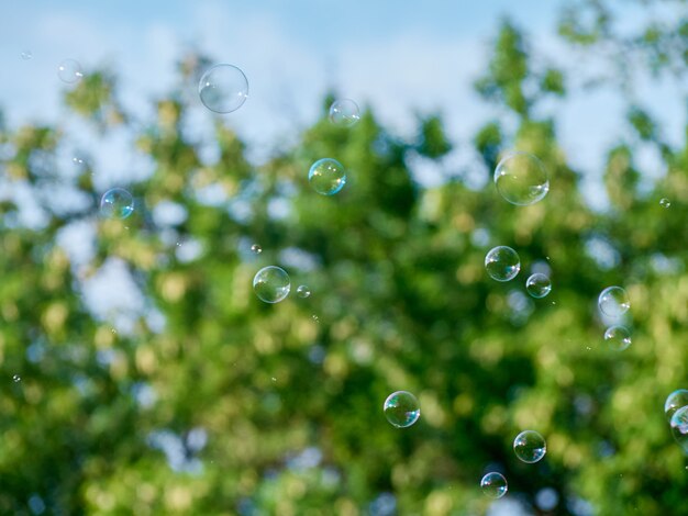 Zomer achtergrond met heldere zeepbellen.