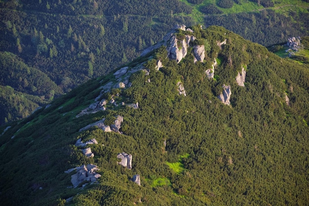 Zomer berg ochtend landschap