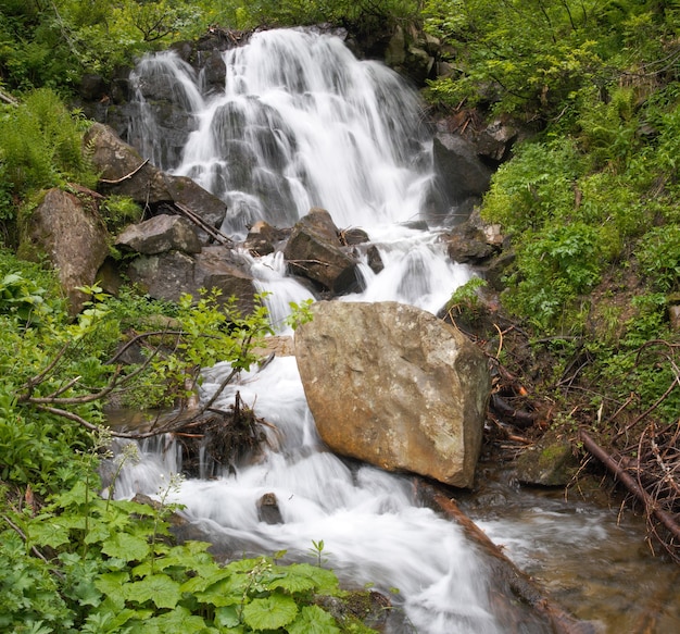 Zomer berg waterval.