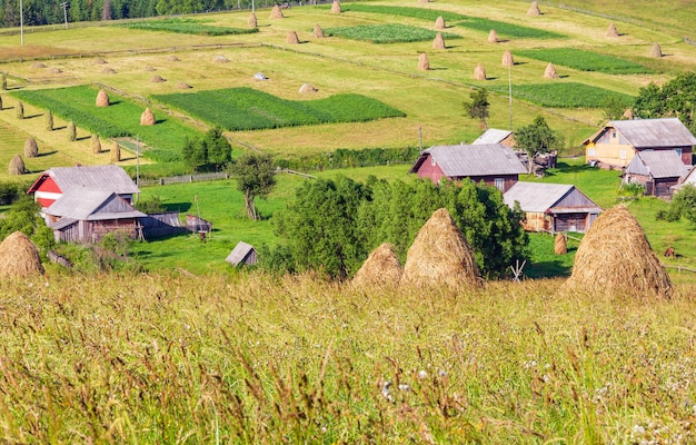 Zomer bergdorp buitenwijken met hooibergen op veld (Karpaten, Oekraïne)