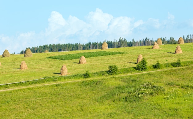 Zomer bergdorp rand met hooibergen op veld (Karpaten, Oekraïne)