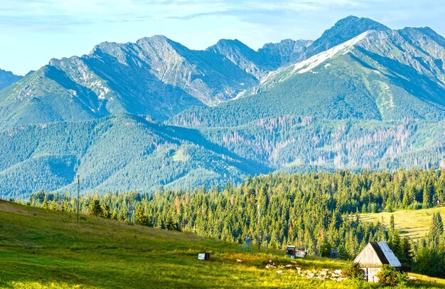 Zomer bergdorp rand met schuur en kudde schapen in de buurt (Tatra-bereik achter, Polen)
