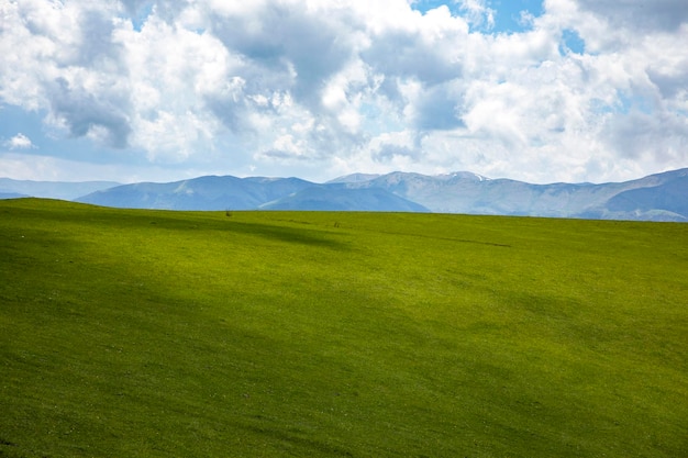 zomer bergen groen gras en blauwe hemel landschap