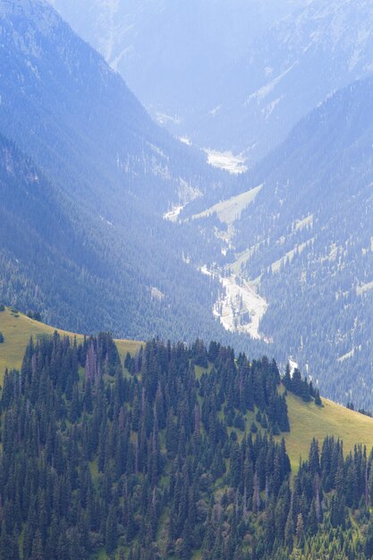 Zomer berglandschap Besneeuwde bergen en groen gras Piek Karakol Kirgizië Prachtig uitzicht vanaf de top van de berg