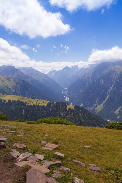 Zomer berglandschap Besneeuwde bergen en groen gras Piek Karakol Kirgizië Prachtig uitzicht vanaf de top van de berg