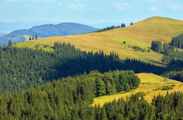 Zomer berglandschap (Karpaten, Oekraïne, district Verkhovyna, regio Ivano-Frankivsk).