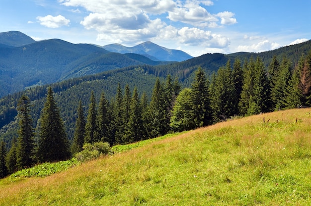 Zomer berglandschap met bloeiende graslanden vooraan