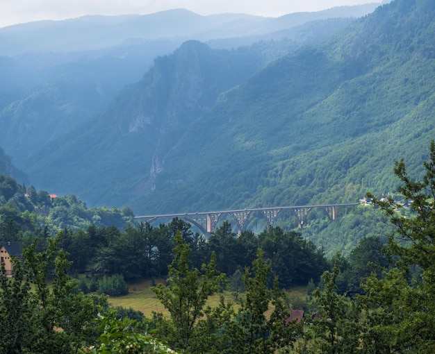 Zomer berglandschap Montenegro