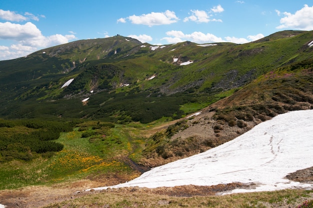 Zomer bergzicht met sneeuw op berghelling