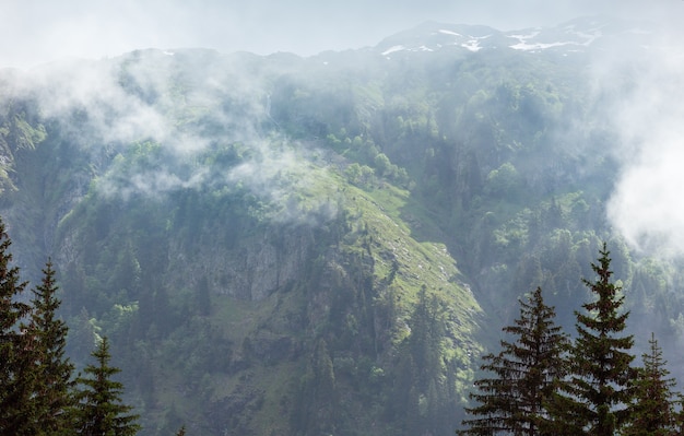 Zomer bewolkt uitzicht op de bergen met wolken drijven voor bereik (Frankrijk, uitzicht vanaf de buitenwijken van Plaine Joux (Chamonix))