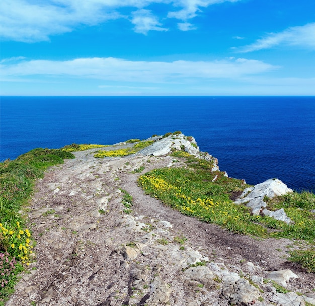 Zomer bloeiende Cabo Vidio kustlandschap (Asturias, Cudillero, Spanje).