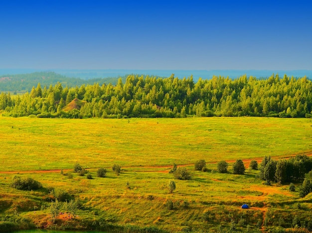 Zomer bos van bovenaf landschap